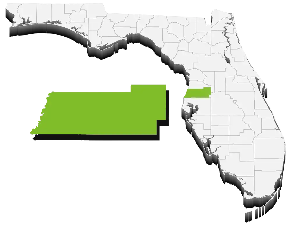 Dumpster Rental in Pasco County Florida by MAXCO Dumpsters